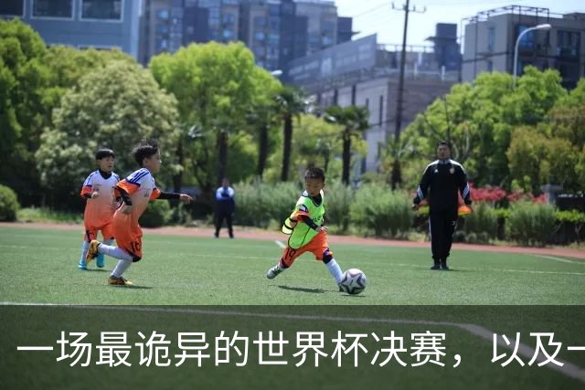 一场最诡异的世界杯决赛，以及一场针对阿根廷的诡异黑流量