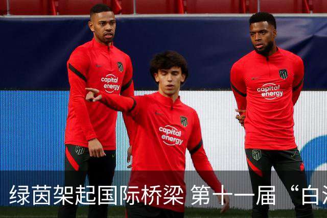 绿茵架起国际桥梁 第十一届“白洋淀杯”上海国际少年足球赛圆满落幕